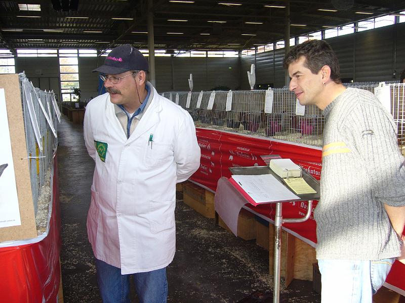 Muenster 2008 014.jpg - Die Preisrichter geben sich mühe um die Tiere richtig zu benoten